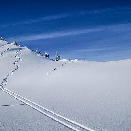 Berghotel Hahnenmoos Adelboden Eksteriør bilde